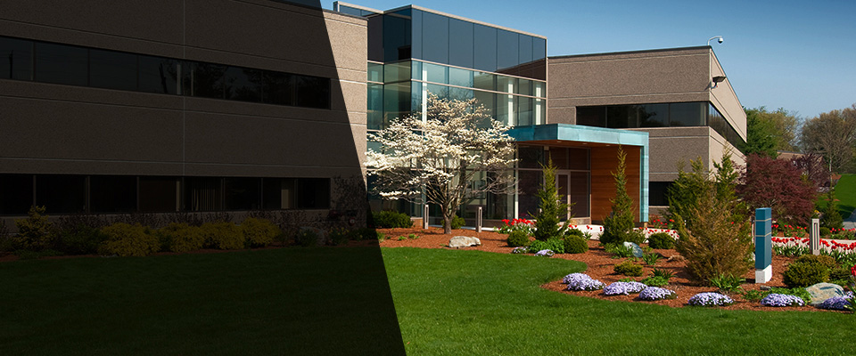 Roebuck Landscapers