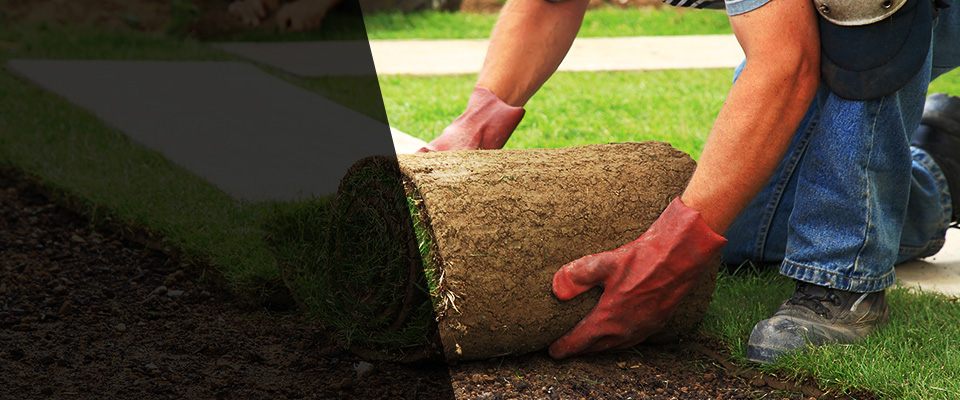 Roebuck Landscapers